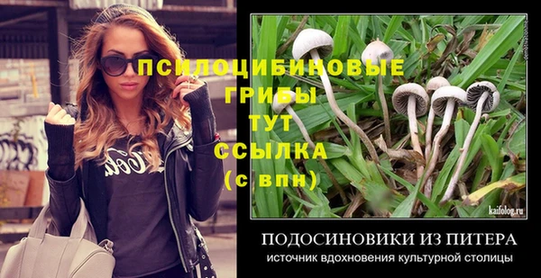 первитин Михайлов