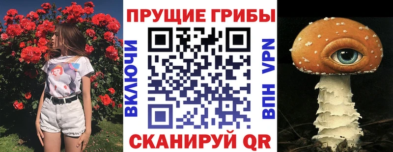 Галлюциногенные грибы MAGIC MUSHROOMS  площадка состав  Острогожск 