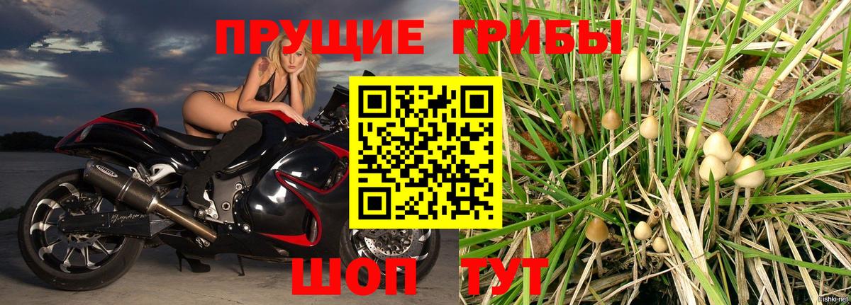 Острогожск  Псилоцибиновые грибы Psilocybe  Вход с VPN  Галлюциногенные грибы GOLDEN TEACHER 