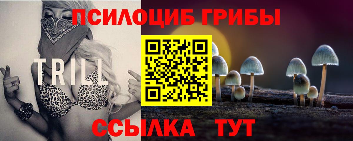 Псилоцибиновые грибы MAGIC MUSHROOMS Острогожск